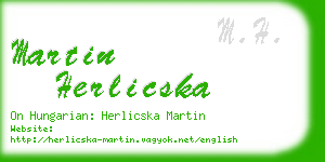 martin herlicska business card